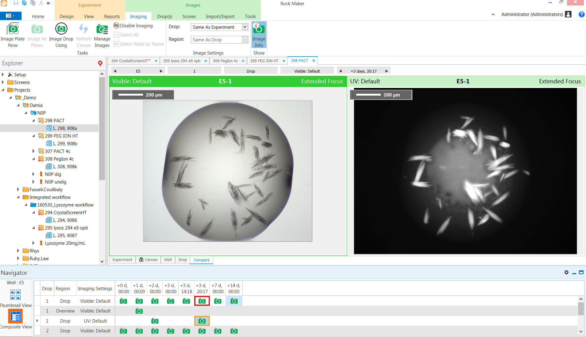 Protein Crystals Imaging in Action