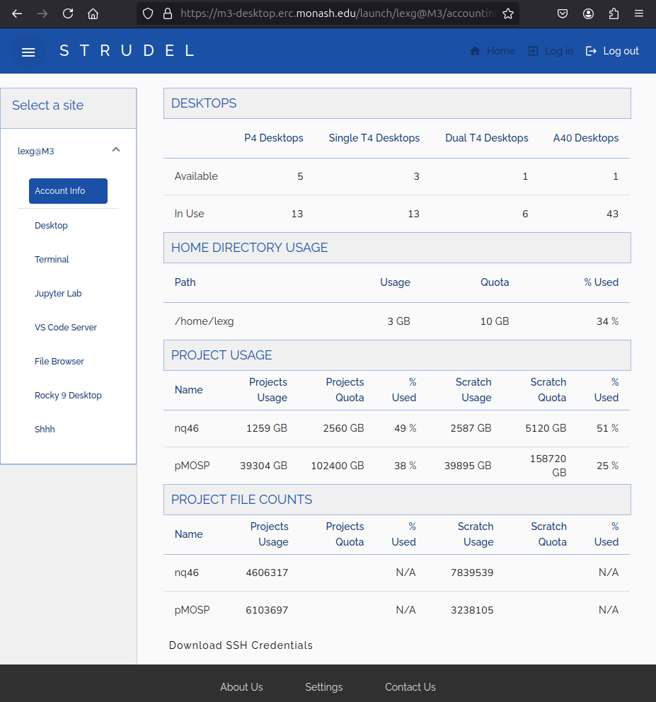 Screenshot of Strudel Account Info page