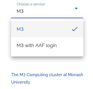 Screenshot of authentication service selection in Strudel