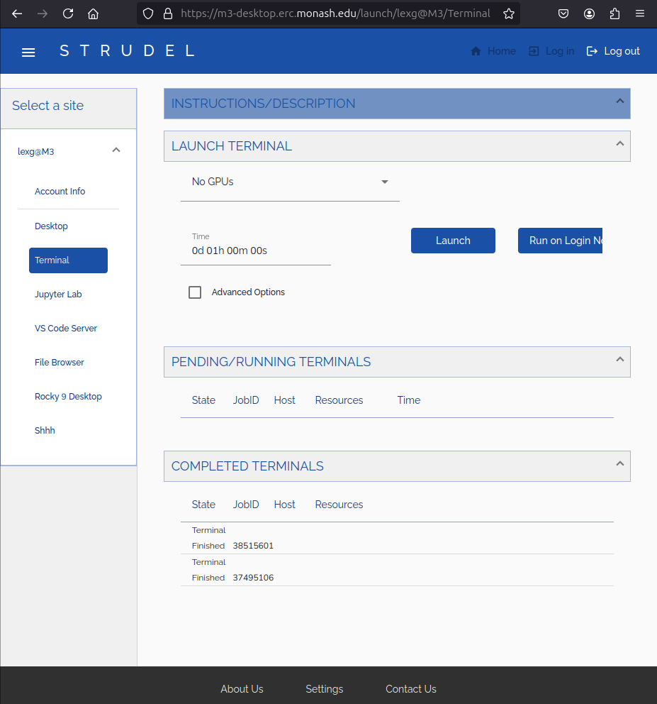 Screenshot of Strudel terminal page